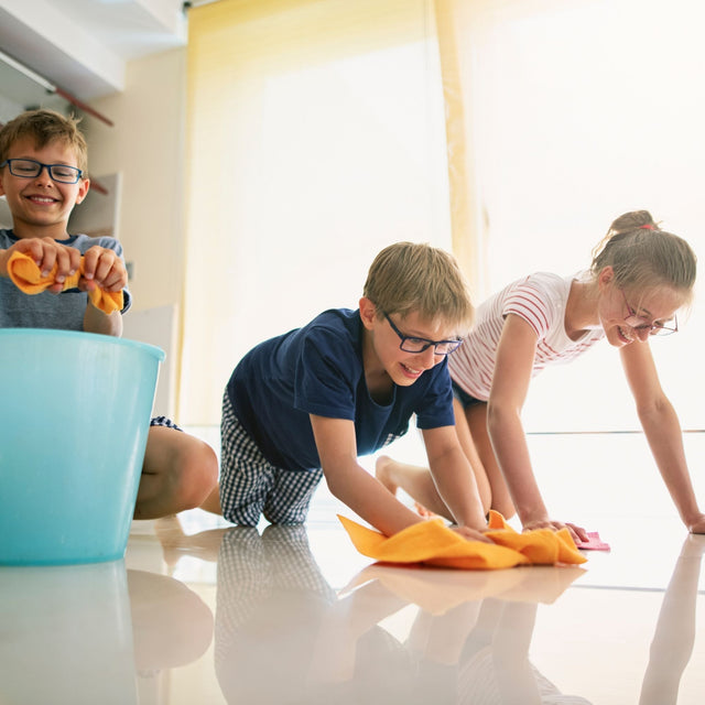 Plastic-Free Cleaning: Your Start-to-Finish Guide for a Healthier Home & Planet