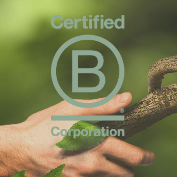 B Corp Explained: The "Good Business" Label for Parents