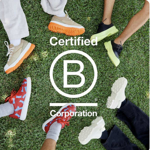 Monthly musing by Anna - Why I did not want to do B Corp Certification?