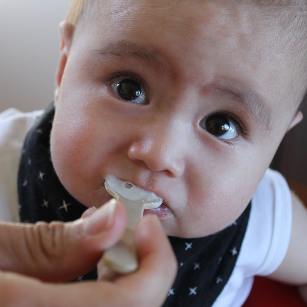 Starting solids with easy purees