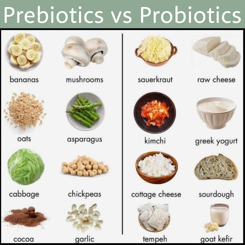 Prebiotics verse Probiotics