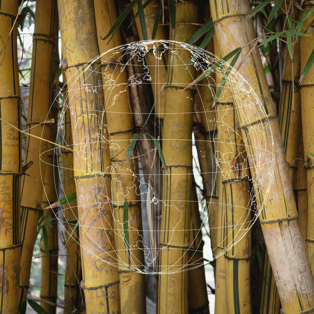 earth month: celebrating the beauty of ethically sourced wood & bamboo