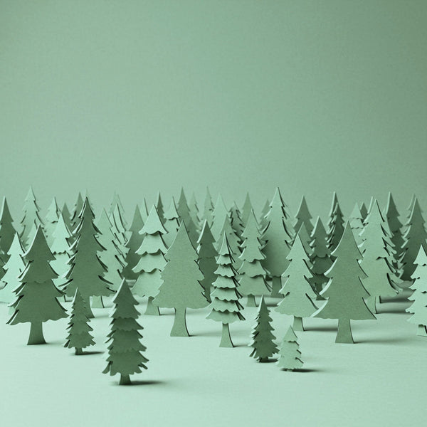 Have a Sustainable and Giving Christmas: A Different Kind of Holiday Magic